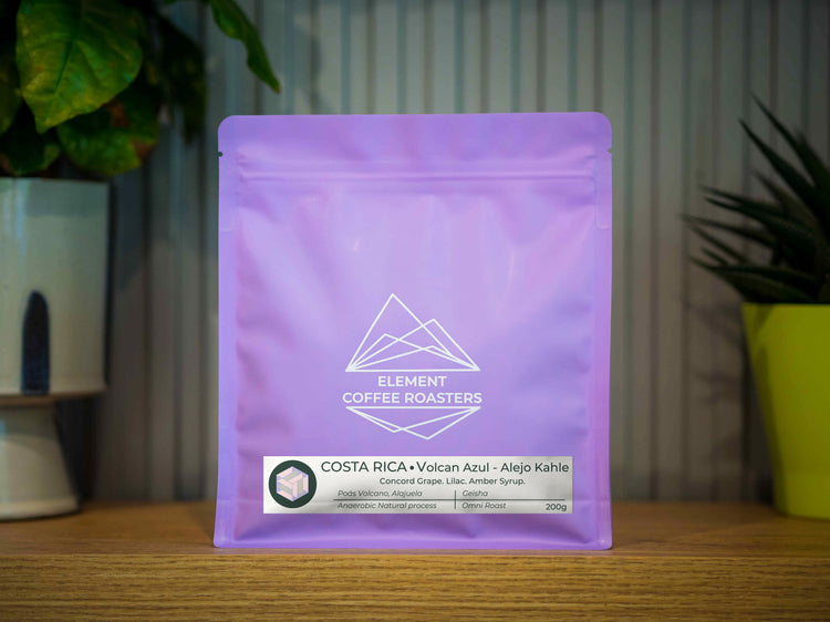 Costa Rica Volcan Azul Geisha - Alejo Kahle